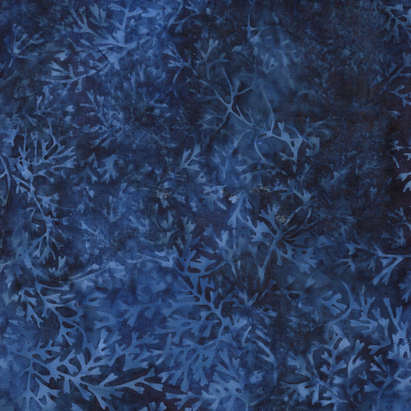 Twigs and Tails by Jerry Khiev - Vines | Navy