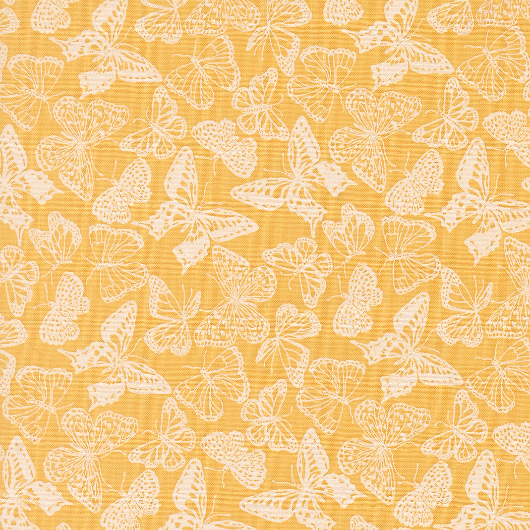 My Secret Garden by Stacy Iest Hsu - 20984 Sunflower