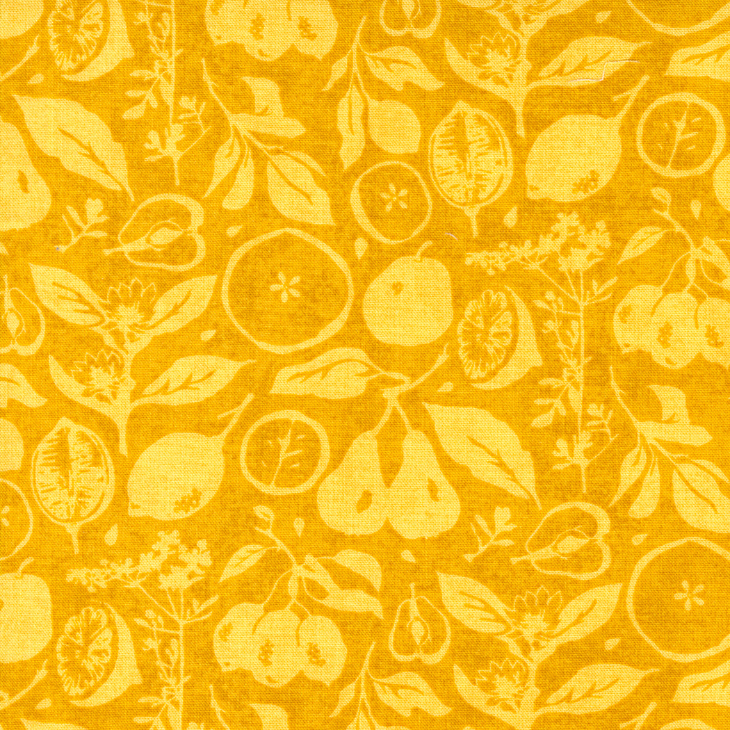 Fruit Loop by BasicGrey - 30732 Sunshine