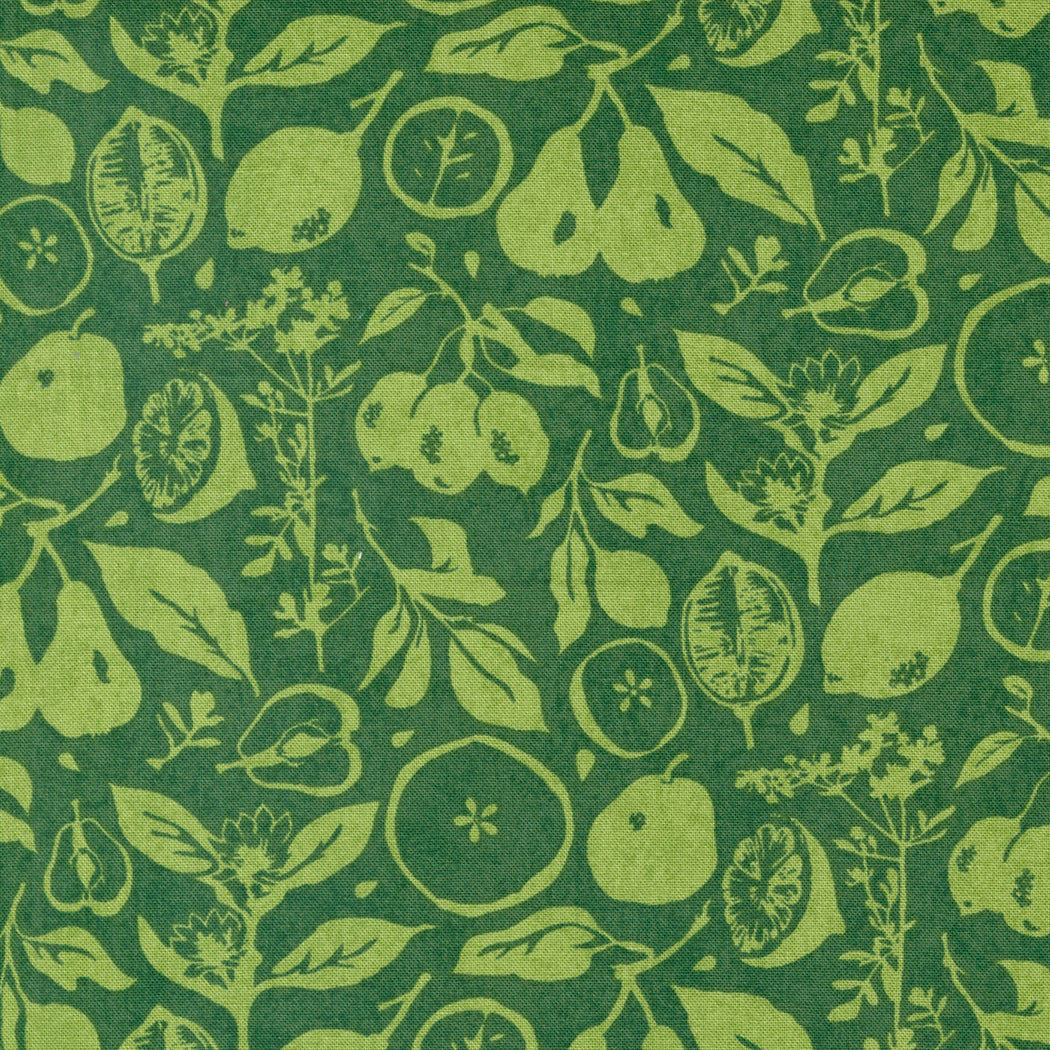 Fruit Loop by BasicGrey - 30732 Grass