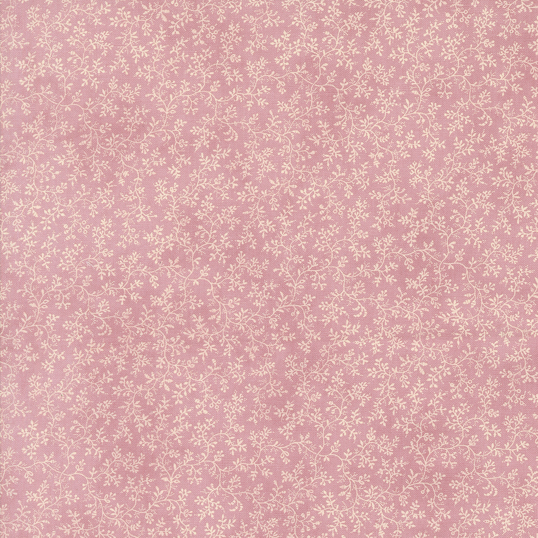 3 Sisters Favorites Lavender Fields - 44363 Orchid