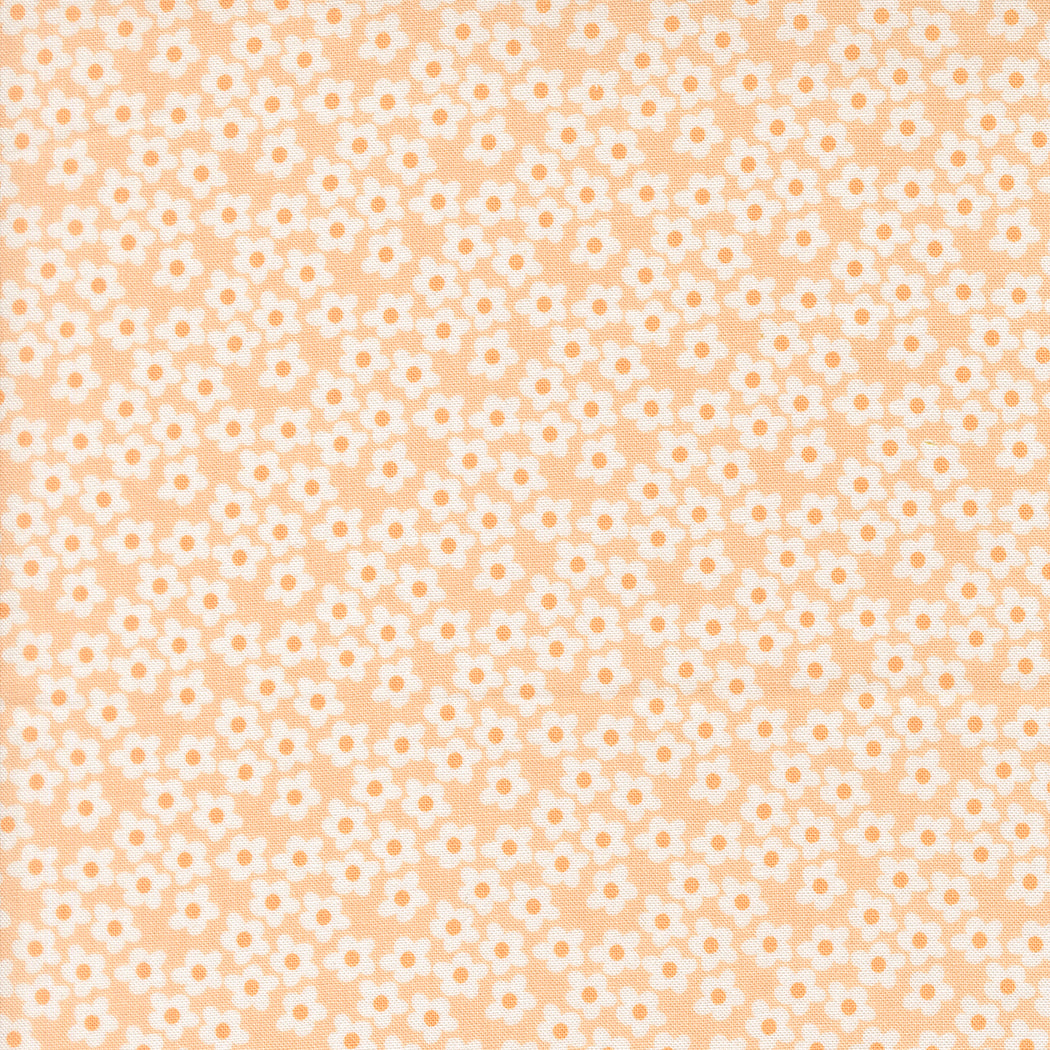 Popcorn by Elizabeth Hartman - 51282 Peach