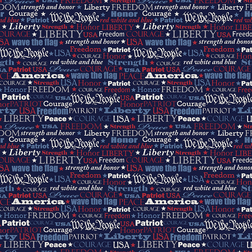 American Tribute by Whistler Studios - Voices of Valor | Navy