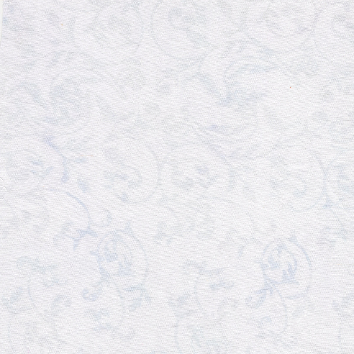 South Hampton by Carol Moellers Designs - Scroll | White