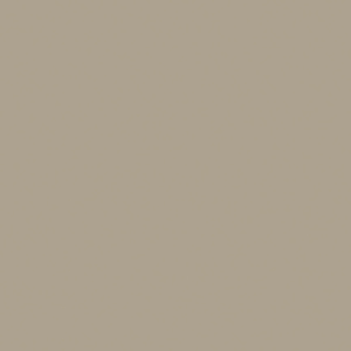 Riley Blake Basics - Confetti Cotton | Trail
