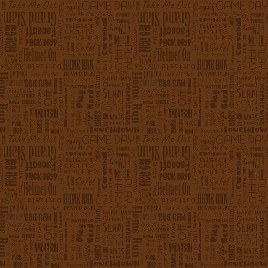 Hometown Heroes by Jennifer Long - Sports in Print | Brown