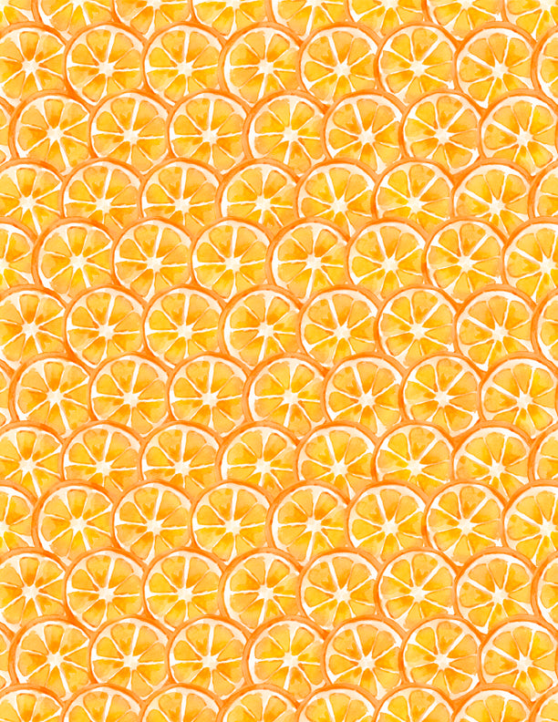 Squeeze the Day Citrus Slices Orange
