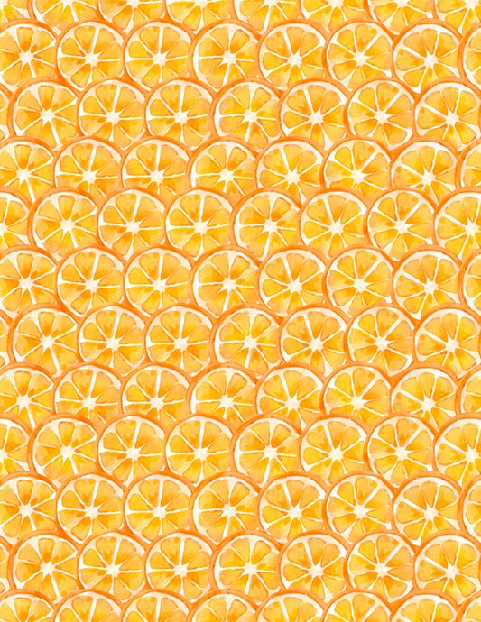 Squeeze the Day Citrus Slices Orange