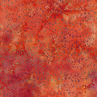 Hoffman Bali Chops 885 Autumn 66