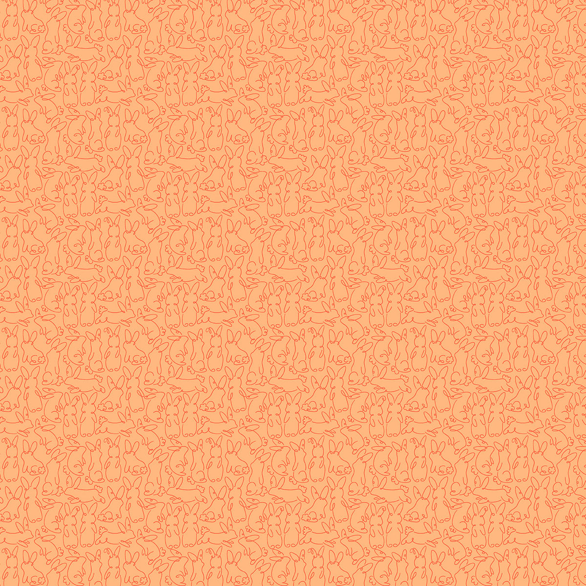 Bunny Hops by Seek to Spring - Bunny Loops | Carrot