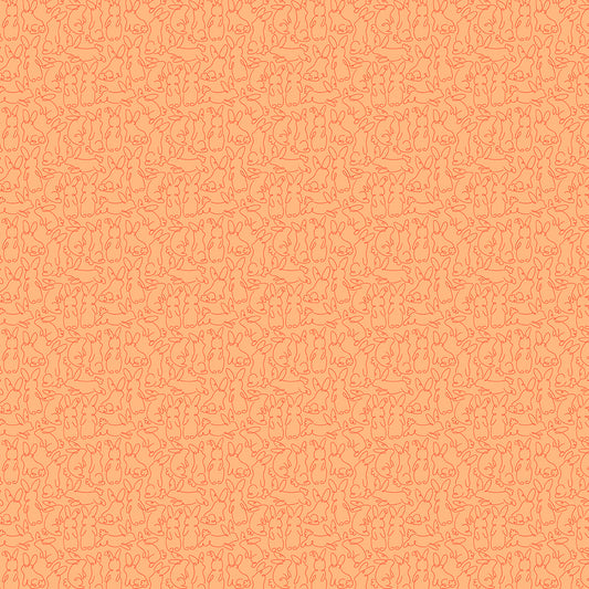 Bunny Hops by Seek to Spring - Bunny Loops | Carrot