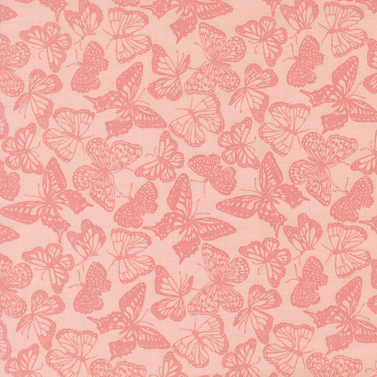 My Secret Garden by Stacy Iest Hsu - 20984 Petal