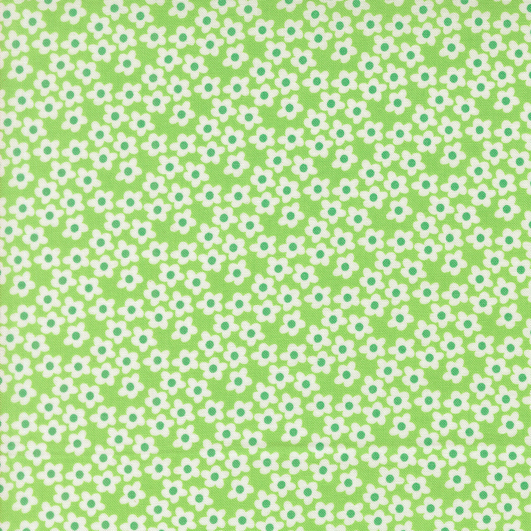 Popcorn by Elizabeth Hartman - 51282 Mint