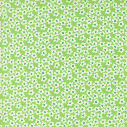Popcorn by Elizabeth Hartman - 51282 Mint