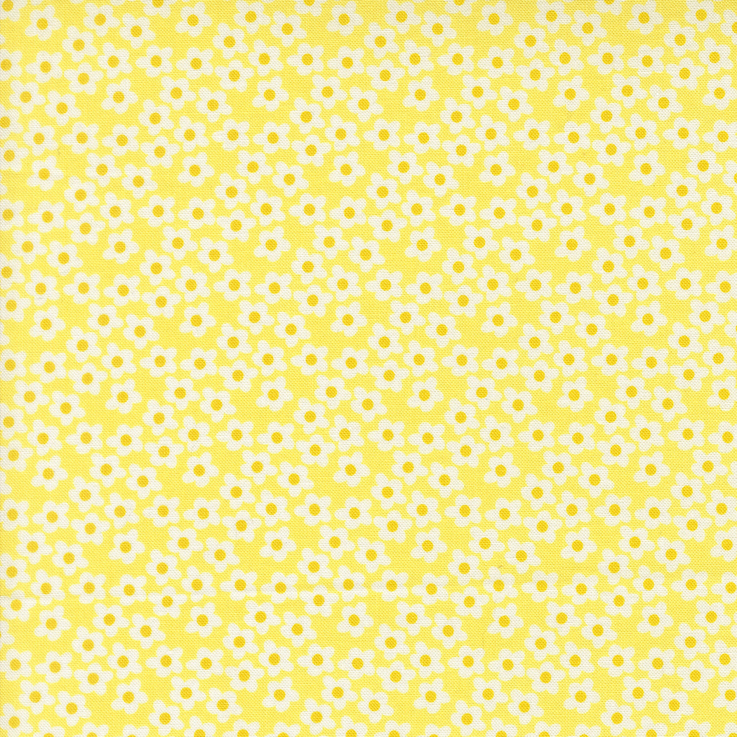 Popcorn by Elizabeth Hartman - 51282 Sunshine