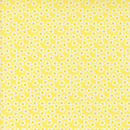 Popcorn by Elizabeth Hartman - 51282 Sunshine