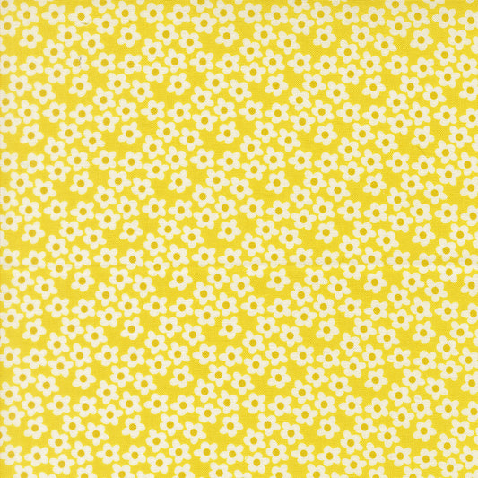 Popcorn by Elizabeth Hartman - 51282 Chartreuse