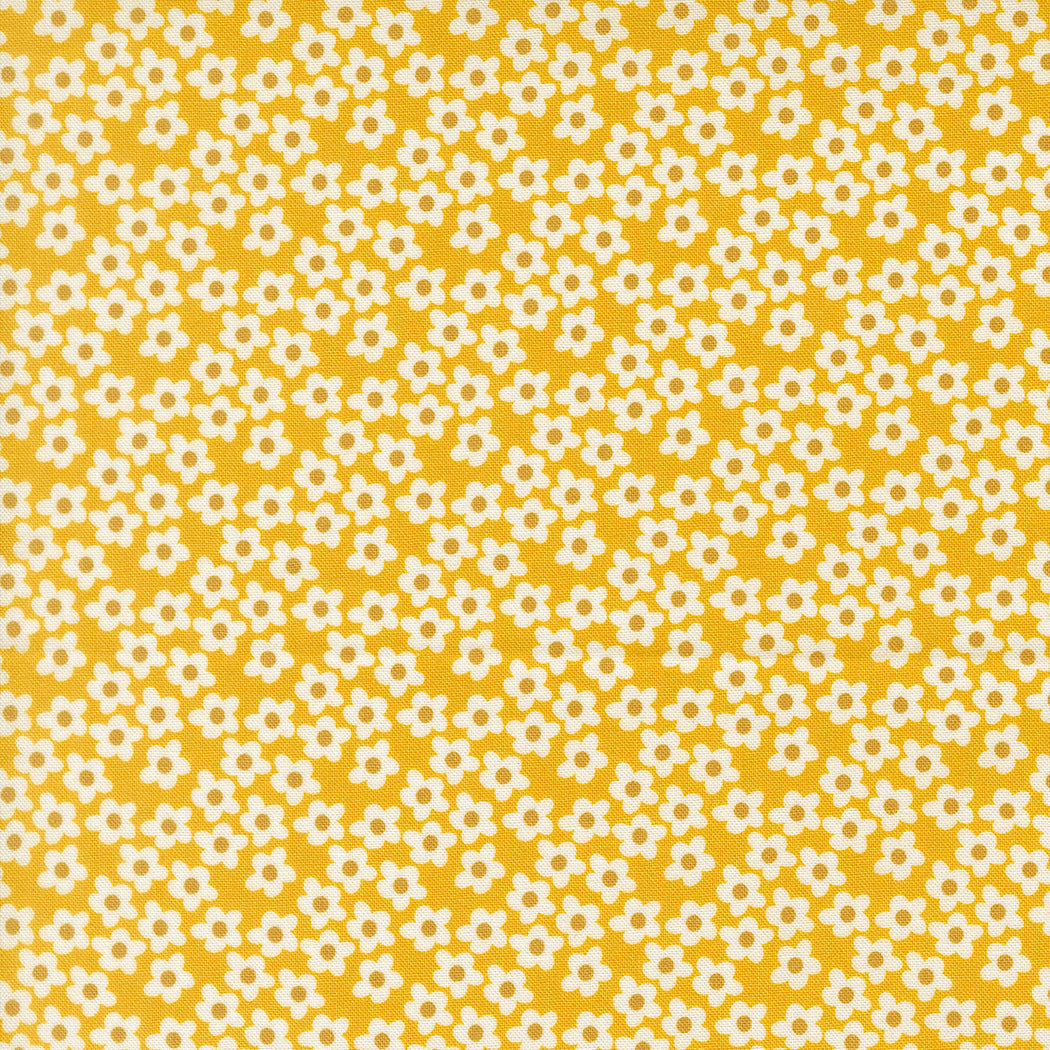 Popcorn by Elizabeth Hartman - 51282 Orange