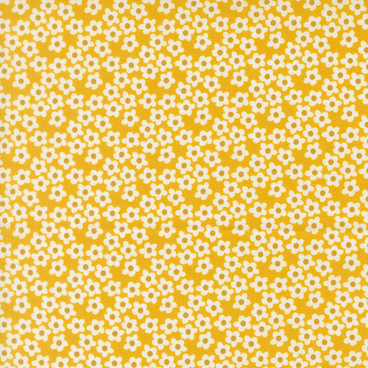 Popcorn by Elizabeth Hartman - 51282 Orange