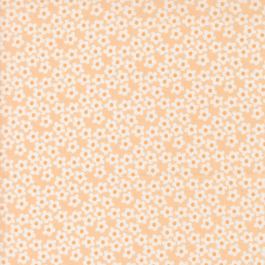 Popcorn by Elizabeth Hartman - 51282 Peach