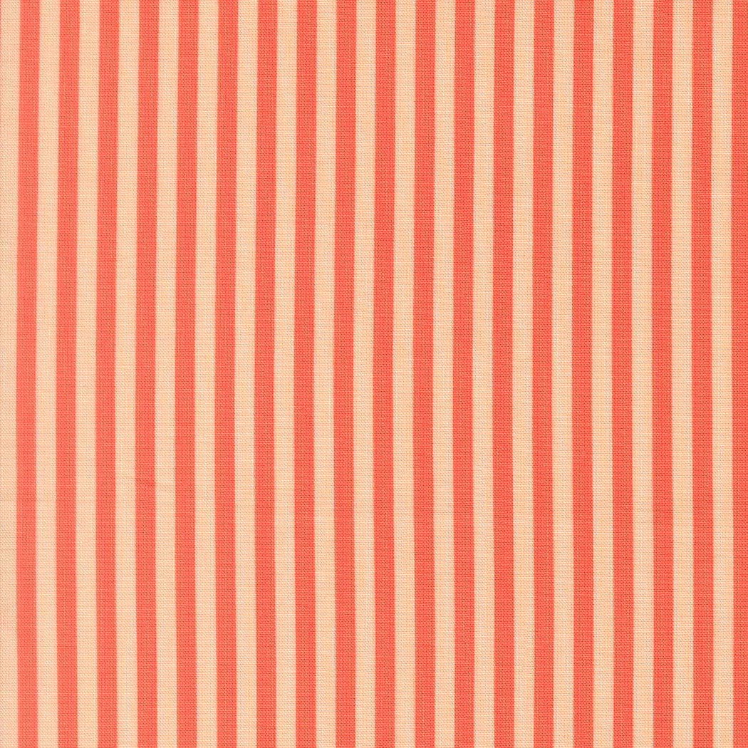 Popcorn by Elizabeth Hartman - 51283 Coral
