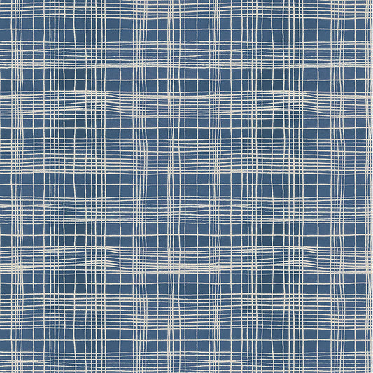 The Plaid One by Marcia Derse - String Theory Plaid Clueprint