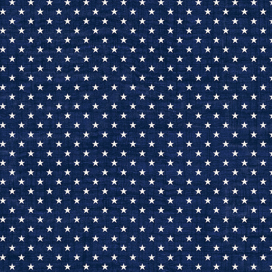 American Tribute by Whistler Studios - Star-Spangled | Navy