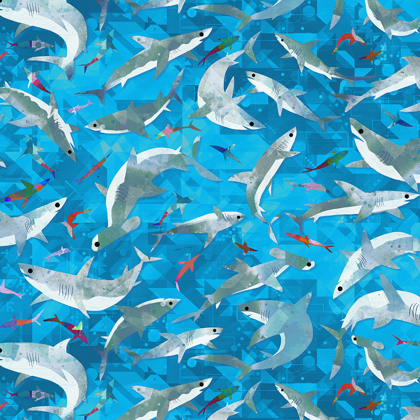 Animal Kingdom by Gareth Lucas - Stealthy Sharks | Cyan