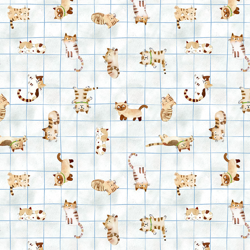 Crafty Cats by Sue Miano - Cutie Cats | White