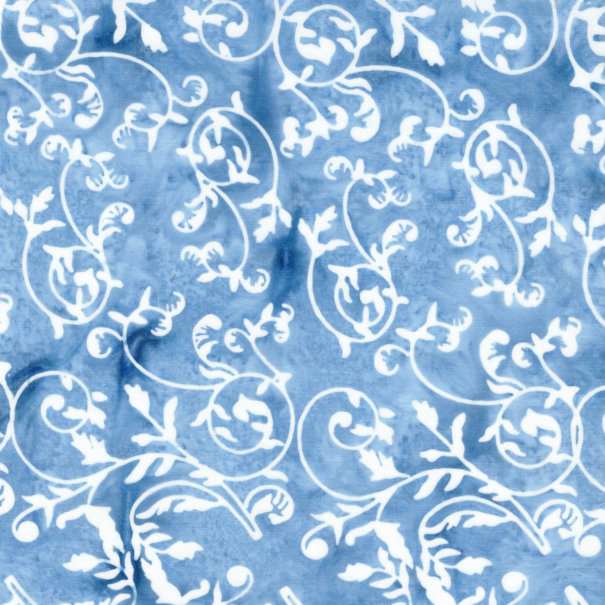 South Hampton by Carol Moellers Designs - Scroll | Shark