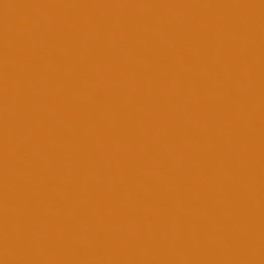 Moda Bella Solids Pumpkin