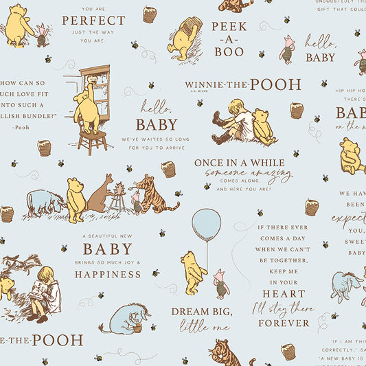Winnie the Pooh Baby by Echo Park Paper Co - Main | Blue