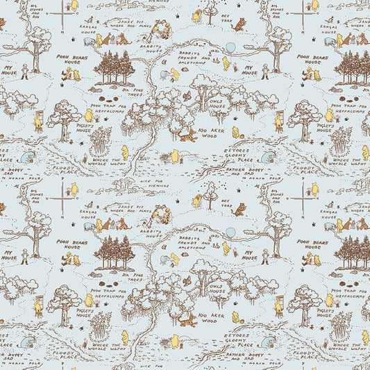 Winnie the Pooh Baby by Echo Park Paper Co - 100 Aker Map | Blue
