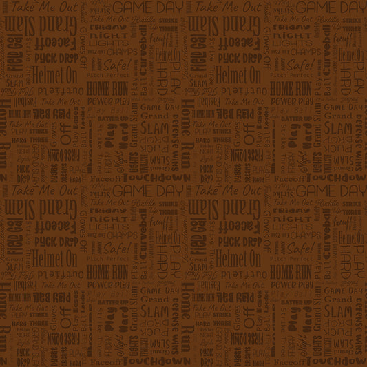 Hometown Heroes by Jennifer Long - Sports in Print | Brown