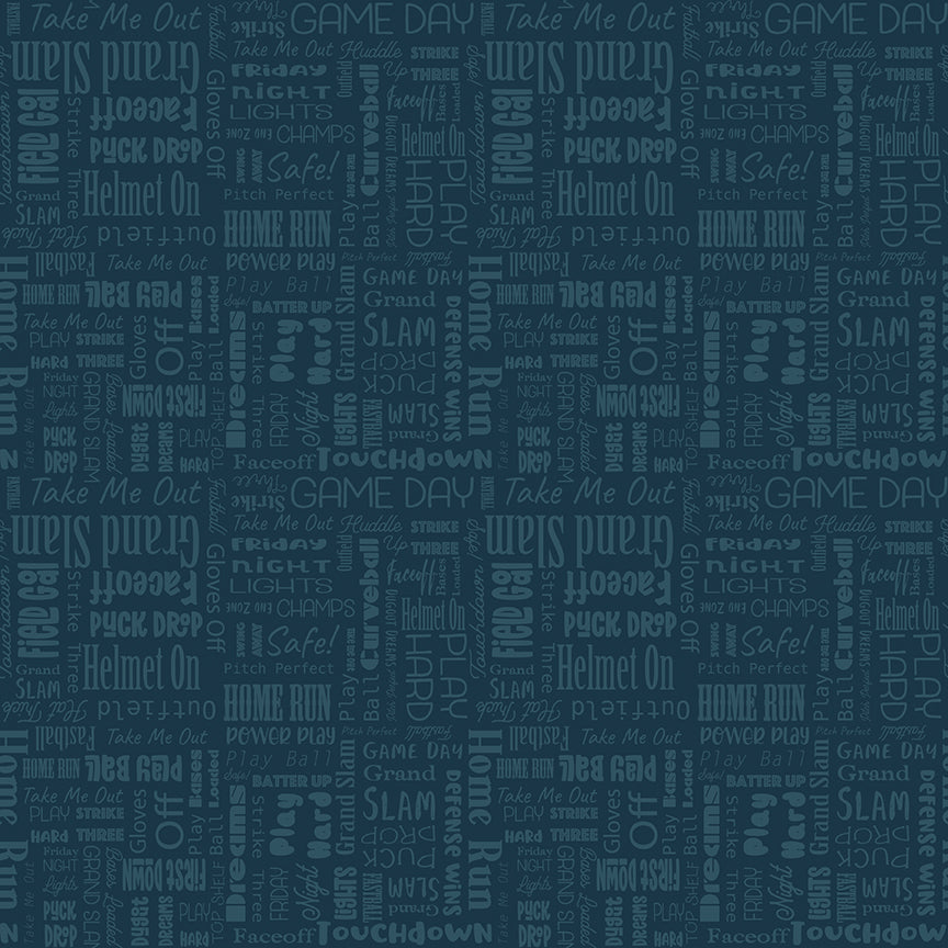 Hometown Heroes by Jennifer Long - Sports in Print | Night
