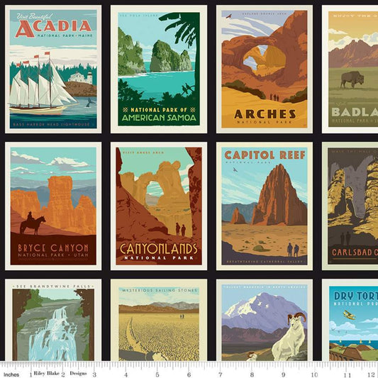 National Parks - Posters Black