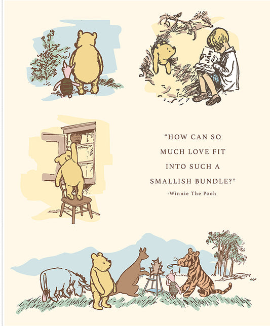Winnie the Pooh Baby Panel by Echo Park Paper Co