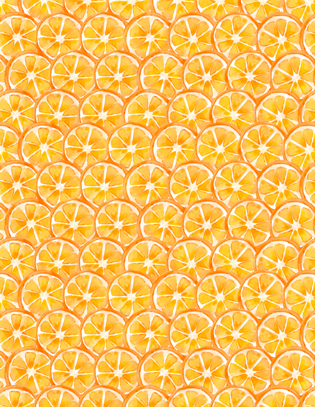 Squeeze the Day Citrus Slices Orange
